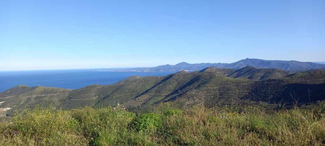Appart F3 A 150 M De La Plage Avec Parking Prive Cerbère Esterno foto