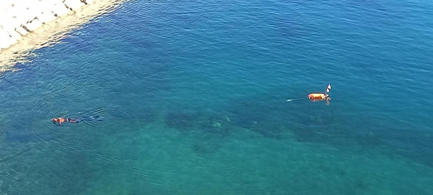 Appart F3 A 150 M De La Plage Avec Parking Prive Cerbère Esterno foto
