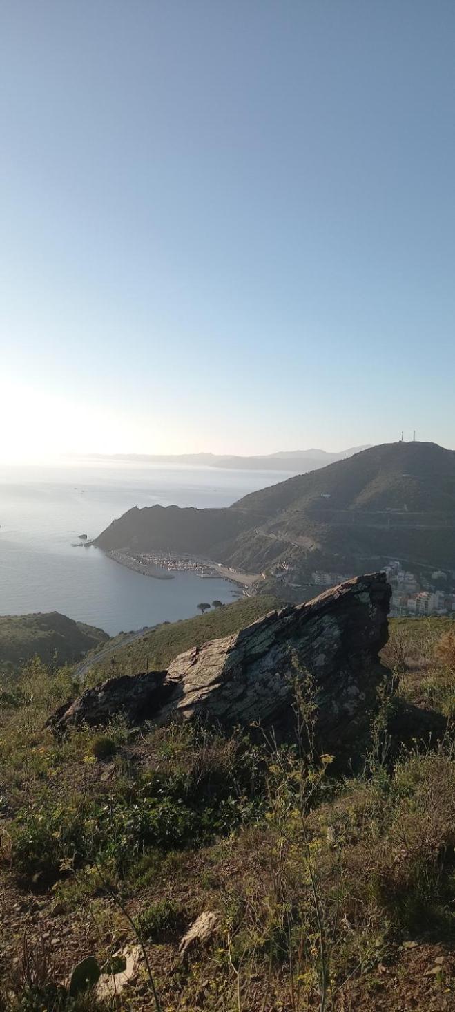 Appart F3 A 150 M De La Plage Avec Parking Prive Cerbère Esterno foto