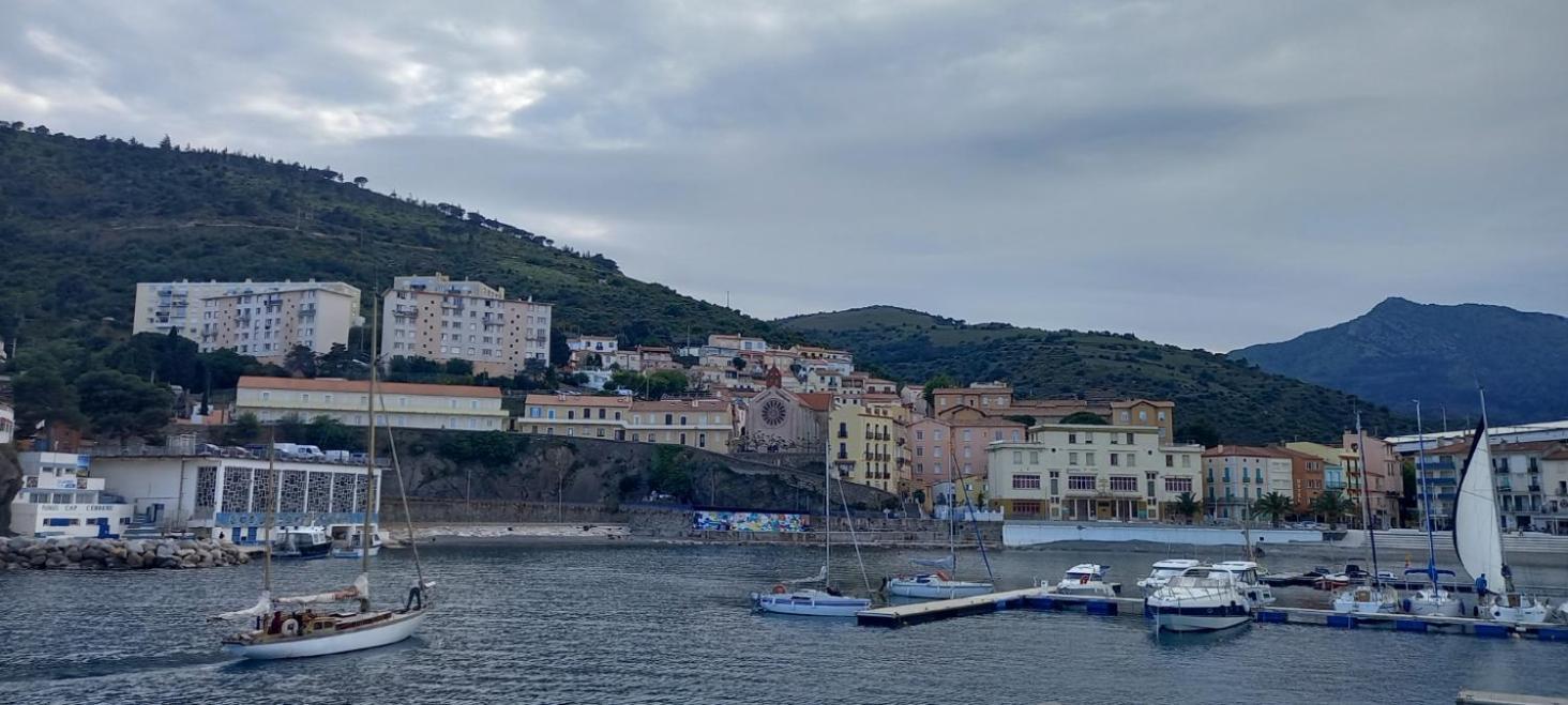 Appart F3 A 150 M De La Plage Avec Parking Prive Cerbère Esterno foto